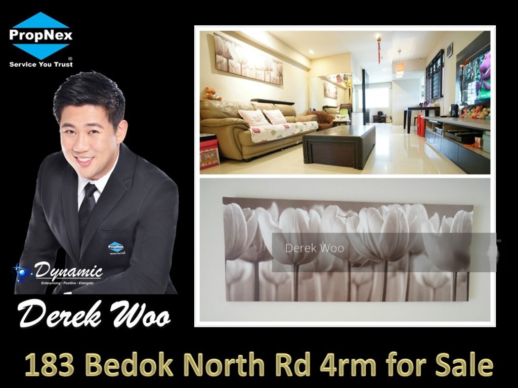 Bedok North Road thumbnail photo